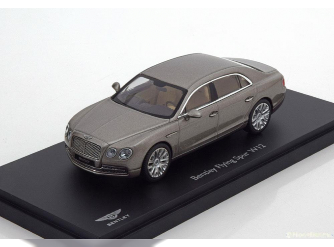 BENTLEY Flying Spur W12, pearlsilber