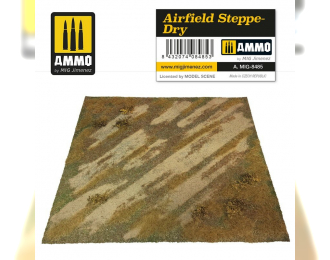 Airfield Steppe-Dry