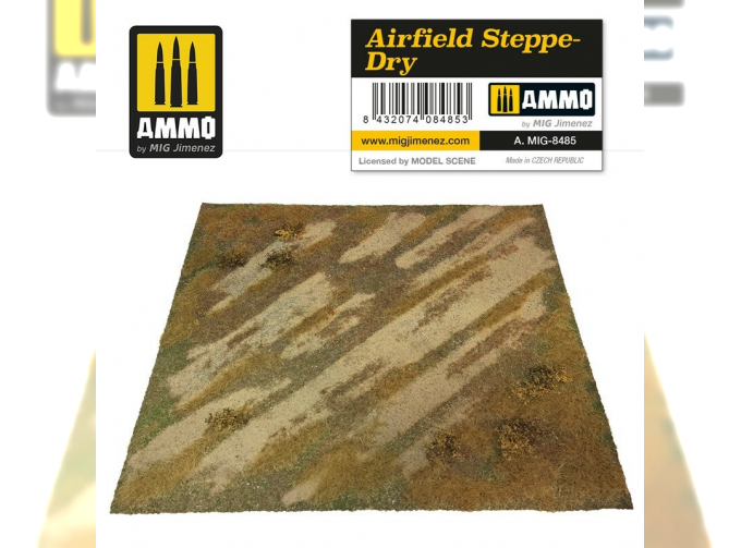 Airfield Steppe-Dry