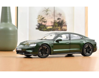 PORSCHE Taycan Turbo S (2024), Oakgreen Neo