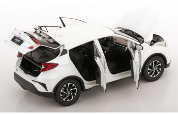 TOYOTA Izoa (2020), white metallic