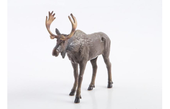 Дикие животные России № 11: Лось