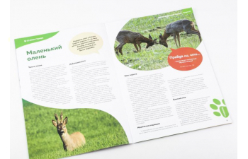 Дикие животные России № 14: Косуля