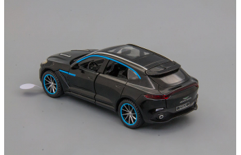 ASTON MARTIN DBX, чёрный с голубыми полосками