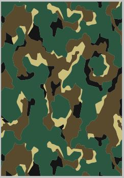 Набор декалей Камуфляж 2 (200х290)