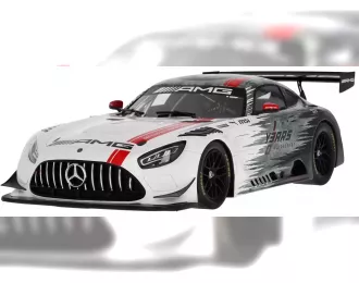 MERCEDES-BENZ AMG GT3, Celebration 130 Years of Motorsport