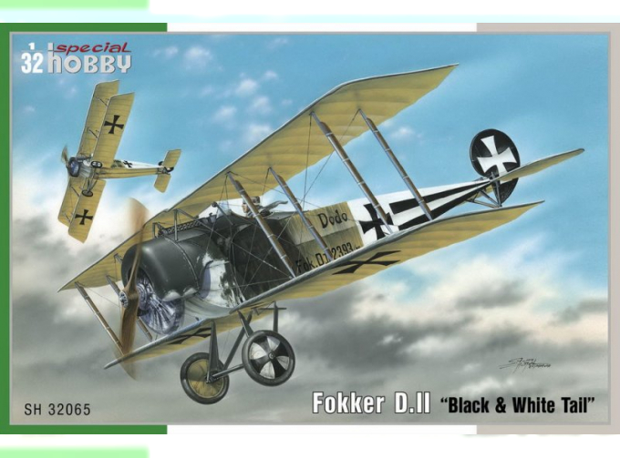 Fokker D.II “Black & White Tail”