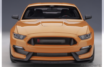 Ford Shelby Mustang GT 350 R (fury orange)