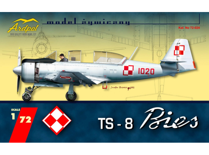 Сборная Polish PZL TS-8 Bies