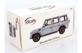 MERCEDES-BENZ G-Klasse W463 (2015), silver