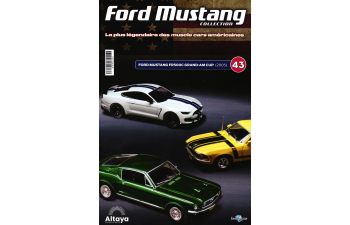 FORD Mustang FR500C Grand-AM CUP (2005), Ford Mustang 43