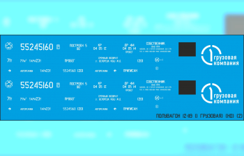 Декаль для полувагона 12-119 вар. 1 (SNP03)