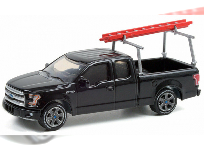 FORD F-150 пикап with Ladder Rack 2017