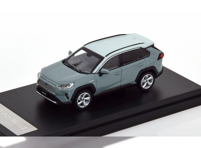 TOYOTA RAV4 Hybrid, grey / light-grey