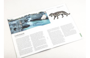 Выпуск №27. Камни и минералы. Тайны недр, Жеода халцедона