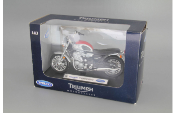 TRIUMPH Thunderbird (2002), silver / red / black