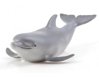 Дикие животные России № 16: Дельфин афалина (только вложение)