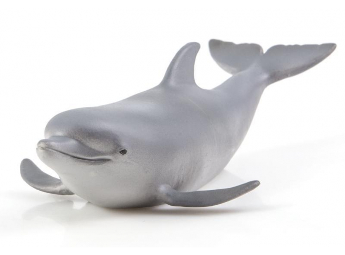 Дикие животные России № 16: Дельфин афалина (только вложение)