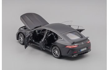 MERCEDES-BENZ AMG GT63s, gray matt