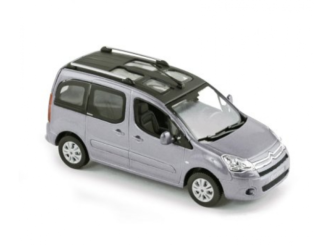 CITROEN Berlingo Multispace (2008), aluminium grey