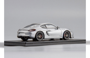 PORSCHE Cayman GTS (2015), silver