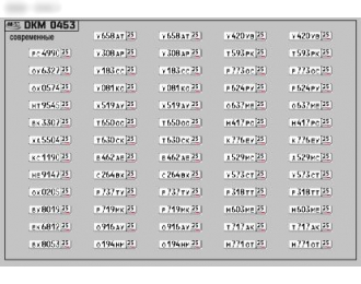 Набор декалей Номерные знаки России Приморский край (100х70)