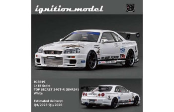 NISSAN TOP SECRET 34GT-R (BNR34), white