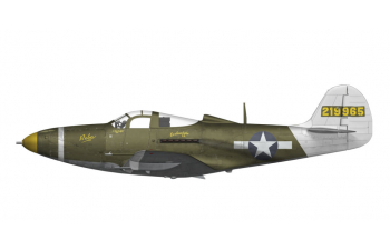 Сборная модель P-39 Airacobra RECON