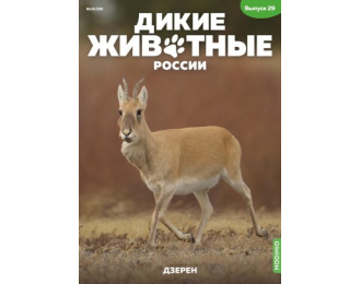 Дикие животные России № 29: Дзерен