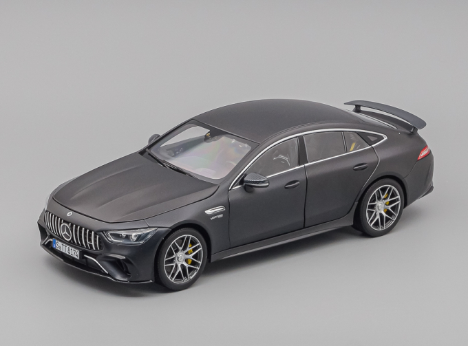 MERCEDES-BENZ AMG GT63s, gray matt