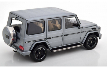 Mercedes-Benz G-Class (W463) 2015 (platingrey magno)