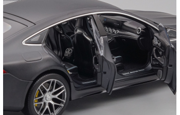 MERCEDES-BENZ AMG GT63s, gray matt