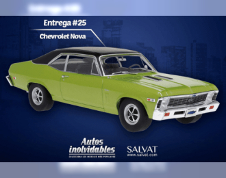 CHEVROLET Nova (1969), green / black