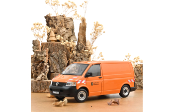 VOLKSWAGEN T5 VAN Transporter (2003), orange