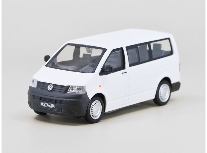 VOLKSWAGEN T5 2010, white