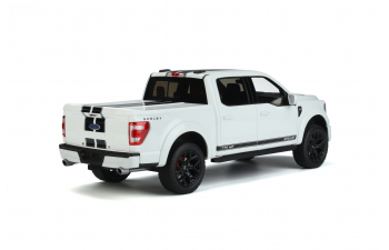 SHELBY F-150 STAR (2022), white