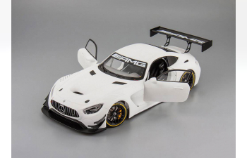 MERCEDES-BENZ AMG GT3 2015 plain body version, matt white