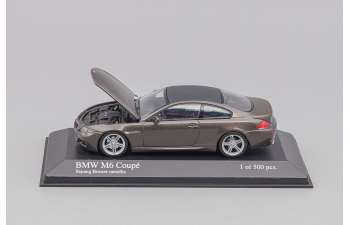 BMW M6 Coupe 2007, brown metallic