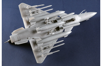 Сборная модель многоцелевой истребитель ВВС Филиппин J-10CE и израильский Rafale 2 в 1