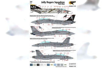 Декаль Jolly Rogers Squadron. Part One