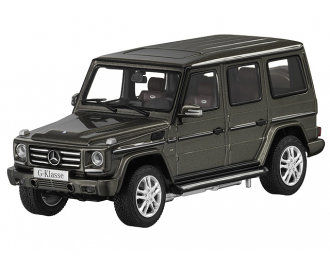 MERCEDES-BENZ G-Class A463 (2012), indium grey