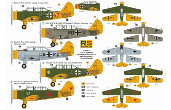 Сборная модель NAA-57 P-2 Luftwaffe services