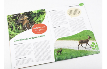 Дикие животные России № 14: Косуля