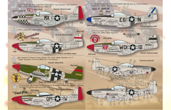 P-51 Mustang-D Wet decal