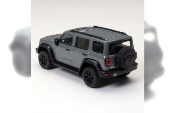 TANK 300 Off-Road Edition (2023), grey