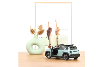 RENAULT 4 E-Tech Electric (2025) Hauts de France Green