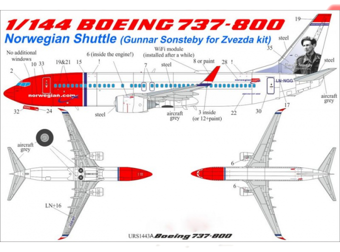 Декаль для Boeing 737-800 Norwegian Shuttle LN-NGG (Gunnar Sonsteby) with stencils