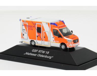 MERCEDES-BENZ GSF RTW Malteser Oldenburg (2018)