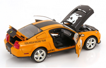 FORD Shelby Mustang Terlingua Racing Team (2008), orange black