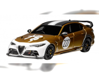 ALFA ROMEO Giulia Gtam №227 Racing (2021), Gold White
